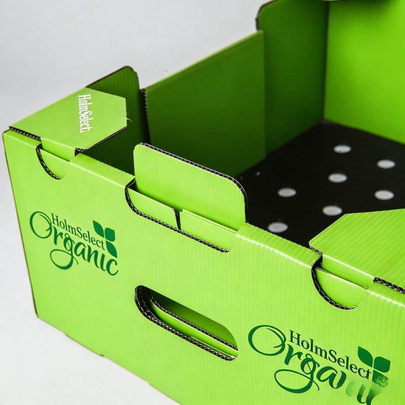 fresh produce box (3)